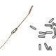 PB PRPODUCTS BUNGY RIG OVAL RINGS 20 PCS