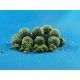 CONCEPT FOR YOU GREEN MUSSEL SUPREME 14 MM - 1 KG