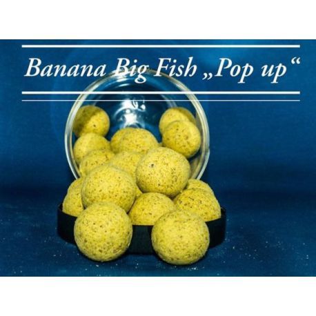 CONCEPT FOR YOU POP UPS BANANA BIGFISH PRO 14 MM
