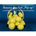 CONCEPT FOR YOU POP UPS BANANA BIGFISH PRO 14 MM
