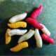 ENTERPRISE TACKLE GUSANOS COLORES FLOTANTES