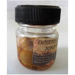 ENTERPRISE TACKLE POPUP POTS TIGER NUTS