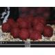 TRYBION CYPRINUS MAX 20 MM - 800 GR