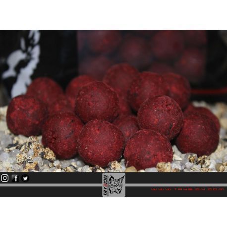 TRYBION CYPRINUS MAX 20 MM - 800 GR