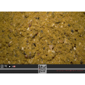 TRYBION STICK MIX GR HOMER 800 GR