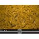 TRYBION STICK MIX GR STACTO 800GR