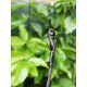 PB ROYAL CLASS 10 FT ,2,75 LB