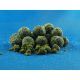 CONCEPT FOR YOU GREEN MUSSEL SUPREME PRO 24 MM 6 KG