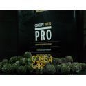 CONCEPT FOR YOU GREEN MUSSEL SUPREME -22-24 MM 1 KG