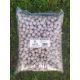 EXPLOSION BAITS BOILIES GARLIC 20 MM 5 KG