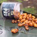 CONCEPT FOR YOU TIGER NUT XXL AMBROSIA
