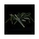 RIDGEMONKEY ANTI TANGLES SLEEVES WEED GREEN LARGE
