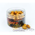 MASSIVE BAITS TIGER NUTS MARISCO