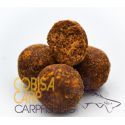 MASSIVE BAITS BOILIES KRILLER 18 MM