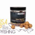 CC MOORE LIVE SYSTEM AIRBALL WAFTERS 18 MM