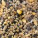 SUPERBAITS MIXTURA 1KG
