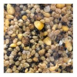 SUPERBAITS MIXTURA 1KG