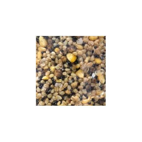 SUPERBAITS MIXTURA 1KG