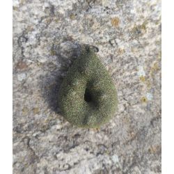 COBISACARP PLOMO HERRADURA VERDE 100GR