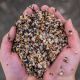 NASH BAIT SMALL SEED MIX