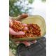 KORUM BAIT TUB 2PT/1.2L