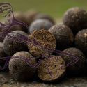 CONCEPT FOR YOU BOILIES C.O.A.S.T PRO 24 MM 1 KG