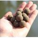 CONCEPT FOR YOU BOILIES C.O.A.S.T PRO 24 MM 1 KG