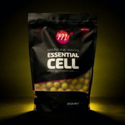 MAINLINE SHELF LIFE BOILIES ESSENTIAL CELL 20 MM 1