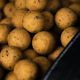 MAINLINE SHELF LIFE BOILIES CELL 20 MM 1KG