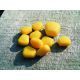 ENTERPRISE TACKLE POPUP IMITATION SWEETCORN S