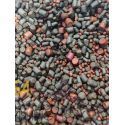 EXPLOSION BAITS SPOD MIX PELLET KRILL, SALMON Y HALIBUT 3,4,7 Y 8 MM 3KG