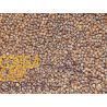 EXPLOSION BAITS PELLETS SALMON KRILL 3MM 5KG