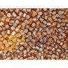 EXPLOSION BAITS PELLES SALMON KRILL 8MM 5KG