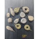 10 PLOMOS HASTA 120 GR CAMUFLAGE CUALQUIER FORMA