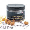 CCMOORE LIVE SYSTEM DUMBELL WAFTERS 10X15MM