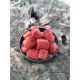 ANGLERS WORKS HOOK PELLETS ABORIGEN
