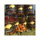 ROYAL BAITS CHUFA XXL AROMA AJO 250 ML