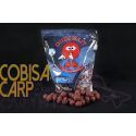 DUDI BAIT BOILIES MISTER DUDI 20 MM SOLUBLES