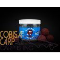DUDI BAIT HOOKBAIT MISTER DUDI CARAMELE SOLUBLE 20