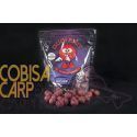DUDI BAIT FOREST SQUID BOILIES SOLUBLES 24 MM