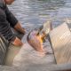AVID CARP PRO-TECT DELUXE CRADLE