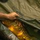 AVID CARP PRO-TECT DELUXE CRADLE