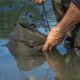 AVID CARP PRO-TECT WATER BUCKET