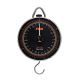 FOX DIAL SCALES