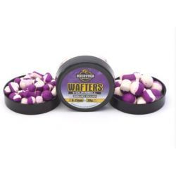BUCOVINA BAITS WAFTERS WAFTERS SUID PLUM 14MM