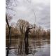 SPOMB S ROD 13 FT