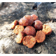 ANGLERS WORKS BOILIES KRILL SEMISOLUBLE 4KG
