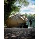 FOX BROLLY 60 PULGADAS