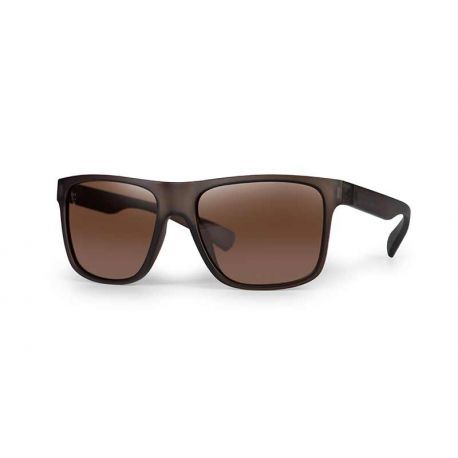 FOX AVIUS TRANS KHAKI -BROWN LENS