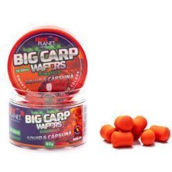 SENZOR PLANET BIG CARP WAFTERS DUMBELLS CALAMAR FR